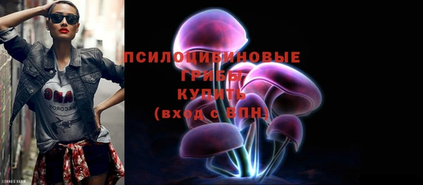 шишки Приозерск