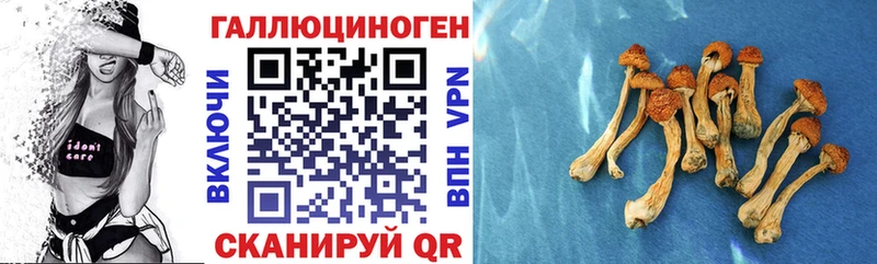 Галлюциногенные грибы Cubensis  Лермонтов 